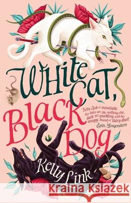 White Cat, Black Dog Kelly Link 9781804548424 Head of Zeus - książka