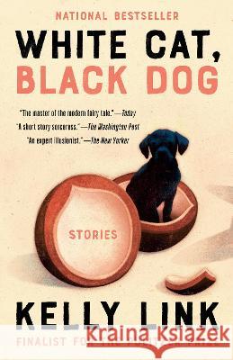 White Cat, Black Dog: Stories Kelly Link, Shaun Tan 9780593449974 Random House USA Inc - książka