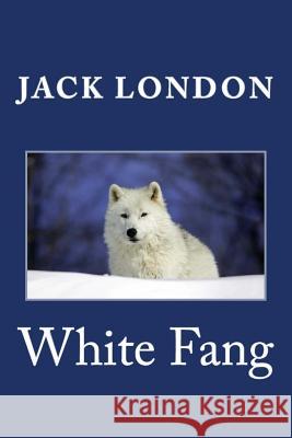 White Fang Jack London 9781495320217 Createspace - książka