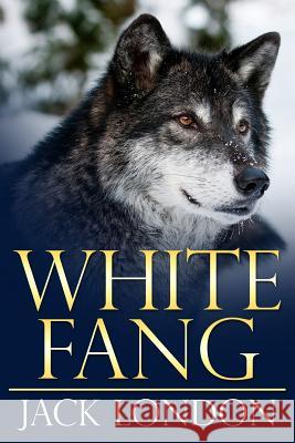 White Fang Jack London 9781500987251 Createspace - książka