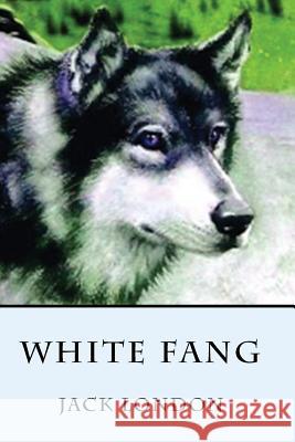 White Fang Jack London 9781505313109 Createspace - książka