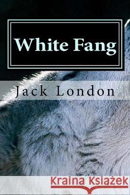 White Fang Jack London Hollybook 9781522859383 Createspace Independent Publishing Platform - książka