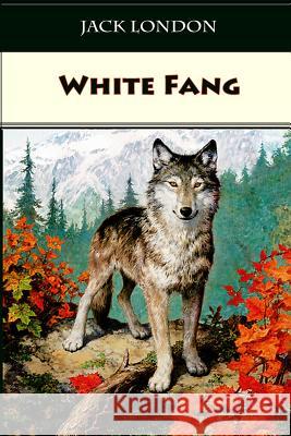 White Fang Jack London 9781523782772 Createspace Independent Publishing Platform - książka