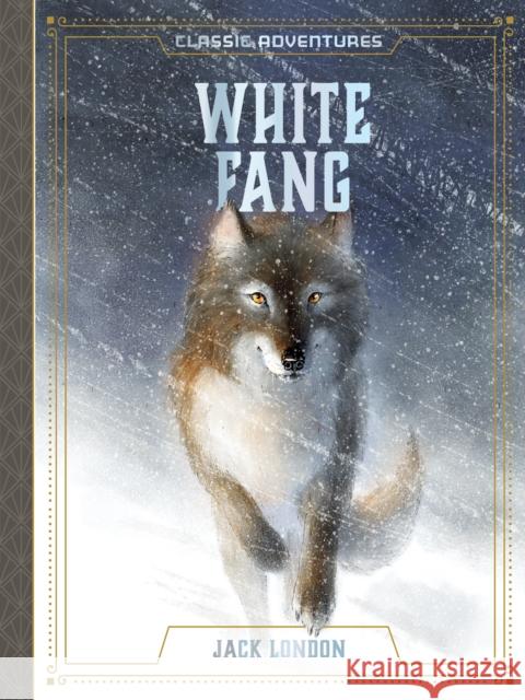 White Fang Jack London Caroline Hickey Elizaveta Tretyakova 9781946260239 Starry Forest Books - książka