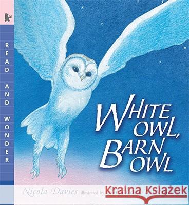 White Owl, Barn Owl: Read and Wonder Nicola Davies Michael Foreman 9780763641436 Candlewick Press (MA) - książka
