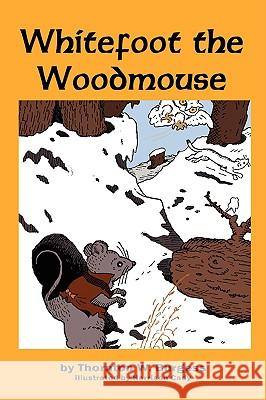 Whitefoot the Woodmouse Thornton W. Burgess Harrison Cady 9781604597523 Flying Chipmunk Publishing - książka