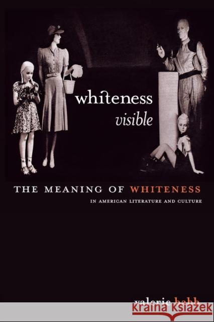 Whiteness Visible: The Meaning of Whiteness in American Literature Babb, Valerie M. 9780814713129 New York University Press - książka