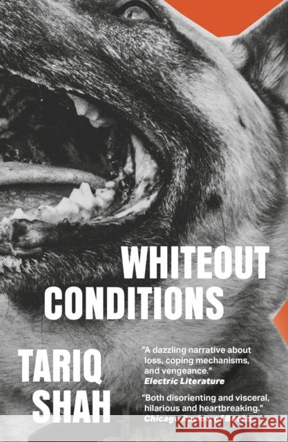 Whiteout Conditions Tariq Shah 9781911585749 Cinder House - książka