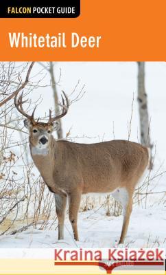 Whitetail Deer Jack, Jr. Ballard 9781493026456 Falcon Guides - książka