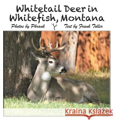 Whitetail Deer in Whitefish, Montana Frank Toller Phrank 9789694592909 Photosbyphrank - książka