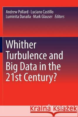 Whither Turbulence and Big Data in the 21st Century? Andrew Pollard Luciano Castillo Luminita Danaila 9783319822976 Springer - książka