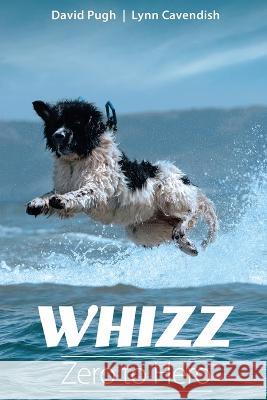 Whizz: Zero to Hero David Pugh Lynn Cavendish 9781915662750 Newfound Friends - książka