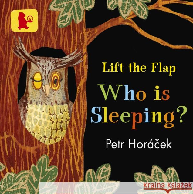 Who Is Sleeping? Petr Horacek Petr Horacek  9781406377316 Walker Books Ltd - książka