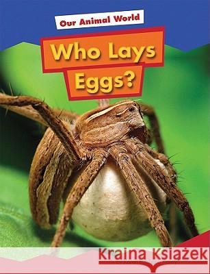 Who Lays Eggs? Karen Kenney 9781607531463 Amicus - książka