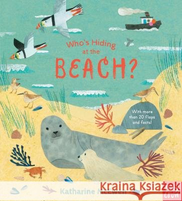 Who's Hiding at the Beach? Nosy Crow                                Katharine McEwen 9781536205855 Nosy Crow - książka