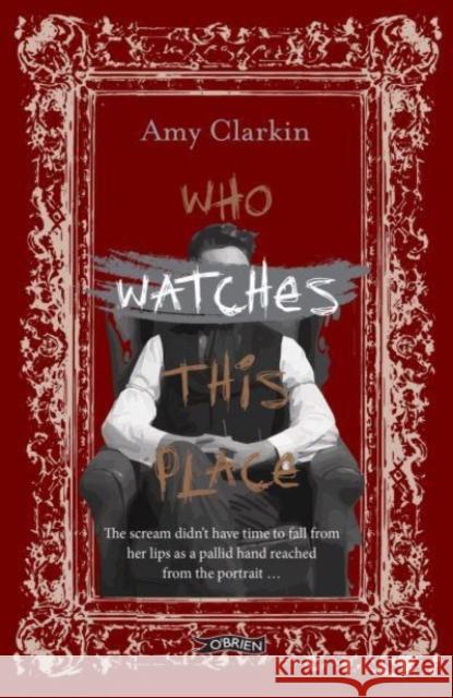 Who Watches This Place Amy Clarkin 9781788494588 O'Brien Press Ltd - książka