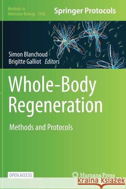 Whole-Body Regeneration: Methods and Protocols Blanchoud, Simon 9781071621714 Springer US - książka