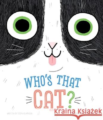 Who's That Cat? Steph Clarkson Erica Salcedo 9781774021200 Rainstorm - książka