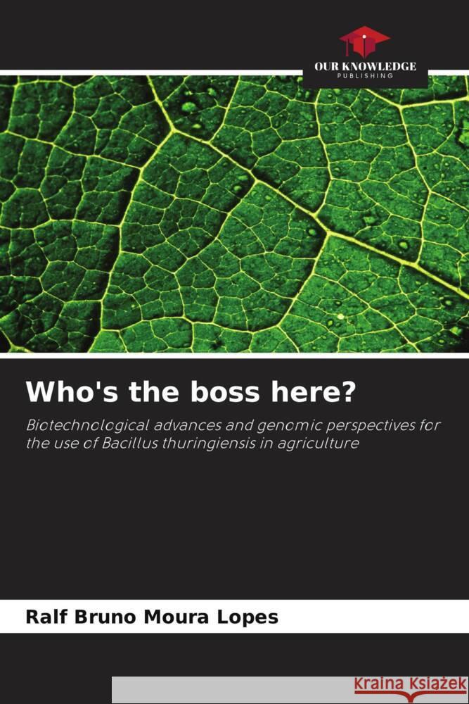 Who's the boss here? Moura Lopes, Ralf Bruno 9786208310899 Our Knowledge Publishing - książka