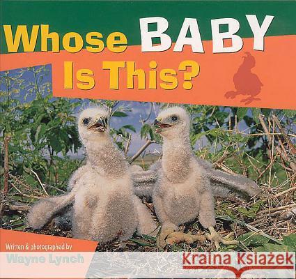 Whose Baby Is This? Wayne Lynch 9781552850640 Walrus Books - książka