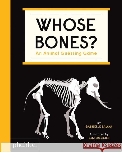 Whose Bones?: An Animal Guessing Game Gabrielle Balkan Sam Brewster 9781838661519 Phaidon Press Ltd - książka