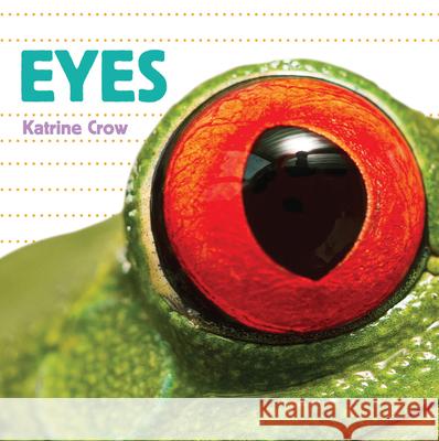 Whose Is It? Eyes Katrine Crow 9781486721191 Flowerpot Press - książka