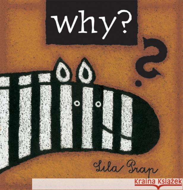 Why? Lila Prap 9780228101673 Firefly Books - książka
