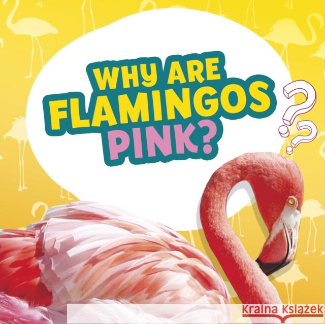 Why Are Flamingos Pink? Nancy Dickmann 9781398215696 Capstone Global Library Ltd - książka