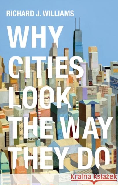 Why Cities Look the Way They Do Richard Williams 9780745691817 Polity Press - książka