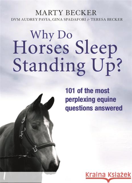 Why Do Horses Sleep Standing Up? Marty Becker 9781409117360  - książka