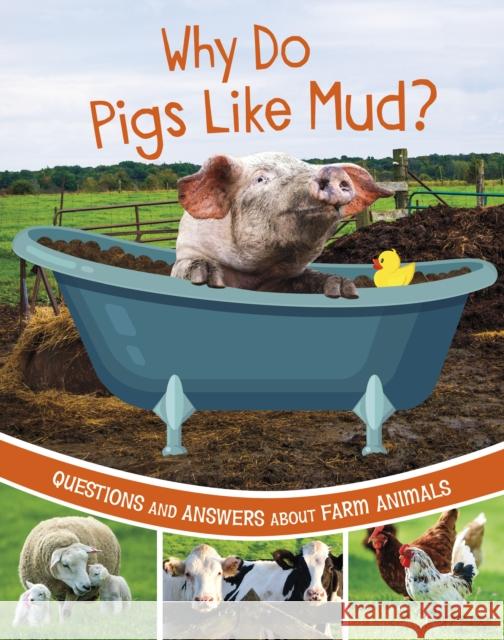 Why Do Pigs Like Mud?: Questions and Answers About Farm Animals Katherine Rawson 9781398248533 Capstone Global Library Ltd - książka
