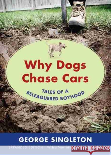 Why Dogs Chase Cars: Tales of a Beleaguered Boyhood Singleton, George 9781611172454 University of South Carolina Press - książka
