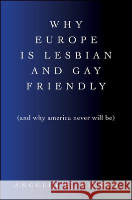 Why Europe Is Lesbian and Gay Friendly (and Why America Never Will Be) Angelia R. Wilson   9781438447278 State University of New York Press - książka