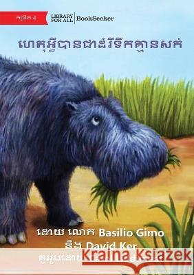 Why Hippos Have No Hair - ហេតុអ្វីបានជាដំរីទឹកគ្មាន Basilio Gimo David Ker Carol Liddiment 9781922844200 Library for All - książka