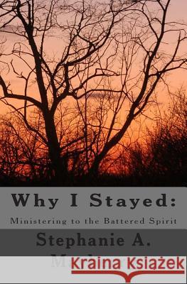 Why I Stayed: Ministering to the Battered Spirit Stephanie a. Mayberry 9781467914352 Createspace - książka