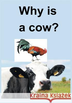 Why Is a Cow? Allen Brown 9781683487135 Page Publishing, Inc. - książka