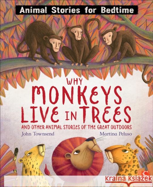 Why Monkeys Live In Trees and Other Animal Stories of the Great Outdoors John Townsend 9781913971601 Salariya Book Company Ltd - książka