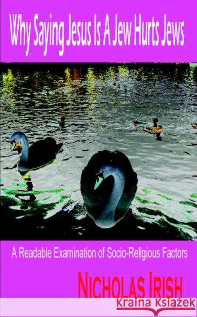 Why Saying Jesus Is A Jew Hurts Jews: A Readable Examination of Socio-Religious Factors Irish, Nicholas 9781596890374 Hermit Kingdom Press - książka