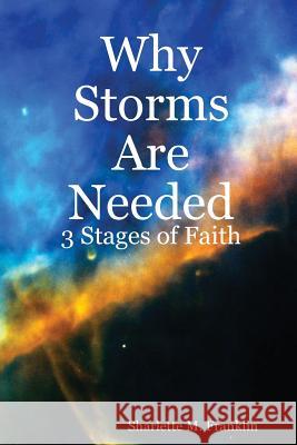 Why Storms Are Needed Author Sharlette Franklin 9780615176697 Sharlette M. Franklin - książka