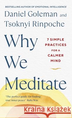 Why We Meditate: 7 Simple Practices for a Calmer Mind Tsoknyi Rinpoche 9780241527870 Penguin Books Ltd - książka