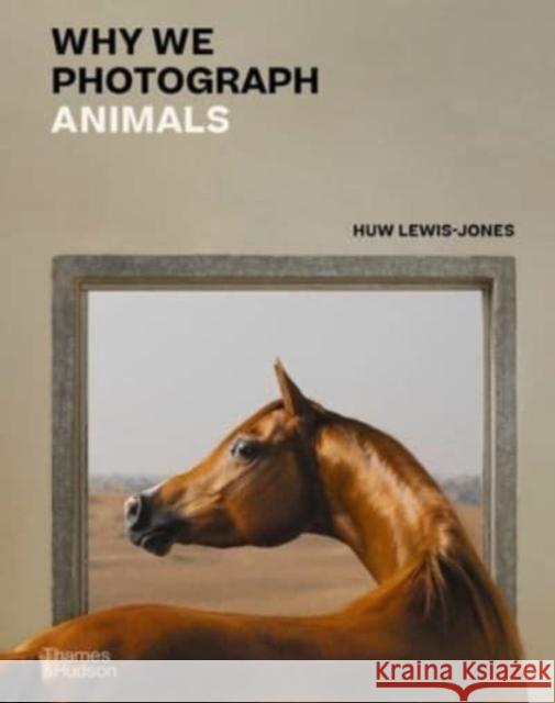 Why We Photograph Animals Huw Lewis-Jones 9780500022726 Thames & Hudson Ltd - książka