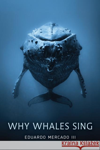 Why Whales Sing Eduardo Mercado 9781421452890 Johns Hopkins University Press - książka