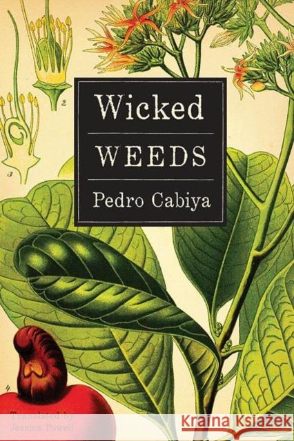 Wicked Weeds: A Zombie Novel Pedro Cabiya Jessica Ernst Powell  9781942134114 Mandel Vilar Press - książka