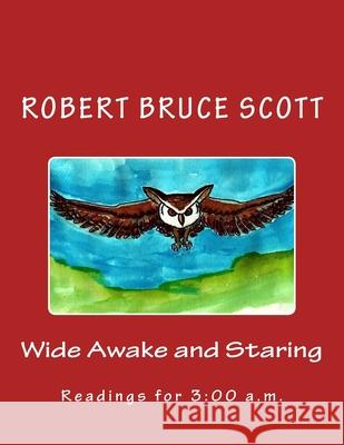 Wide Awake and Staring: Readings for 3:00 a.m. Barbara K. Scot Robert Bruce Scott 9781985729438 Createspace Independent Publishing Platform - książka