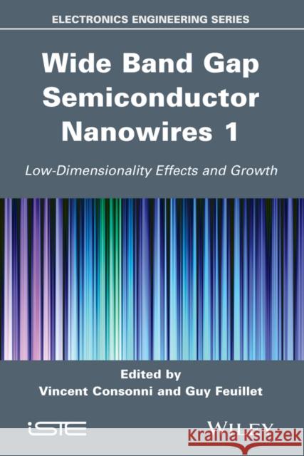 Wide Band Gap Semiconductor Nanowires 1: Low-Dimensionality Effects and Growth Consonni, Vincent 9781848215979 John Wiley & Sons - książka