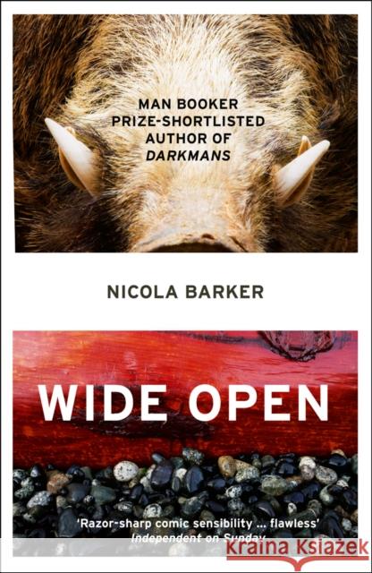 Wide Open Nicola Barker 9780007435722 HarperCollins Publishers - książka