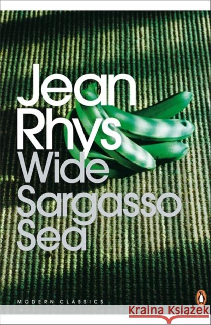 Wide Sargasso Sea Jean Rhys 9780141185422 Penguin Books Ltd - książka