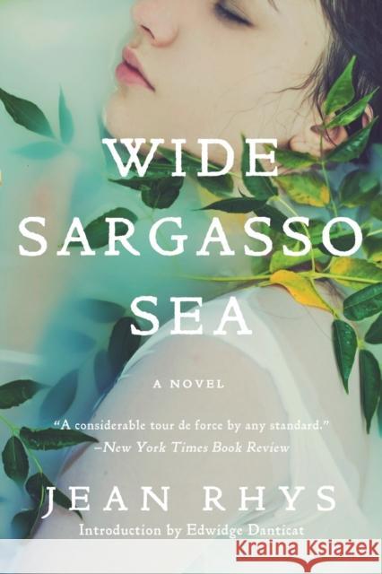 Wide Sargasso Sea Jean Rhys 9780393352566 W. W. Norton & Company - książka