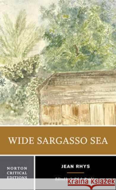 Wide Sargasso Sea Jean Rhys 9780393960129 W. W. Norton & Company - książka