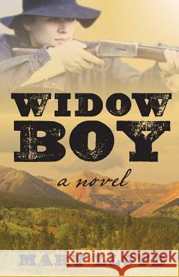 Widow Boy Mary Beth Lloyd 9780979831966 Hankfritz Press - książka